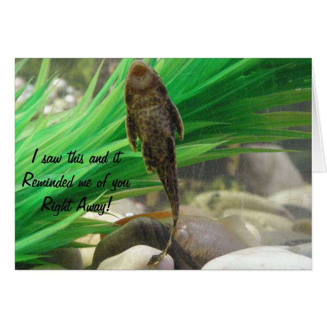 Je zuigt Kaart (Voorkant Horizontaal)