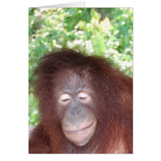 Jealousy: Mooie Red Hair Orangutan (Voorkant)