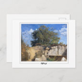 Jean-Baptiste-Camille Corot #201-2 - Fine Art P... Briefkaart (Voorkant / Achterkant)