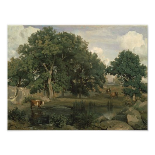 Jean-Baptiste-Camille Corot - Forest Foto Afdruk (Voorkant)