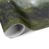 Jean-Baptiste-Camille Corot Orpheus Cadeaupapier (Rol Hoek)