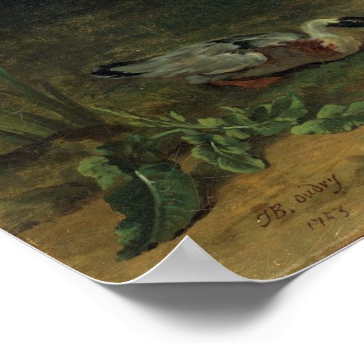 Jean-Baptiste Oudry Ducks die op Sunshine rusten Poster (Hoek)
