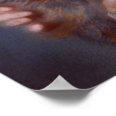 Jean-Baptiste Perronneau: Meisje met Kitten Poster (Hoek)