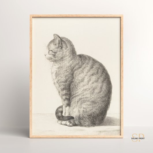 Jean Bernard Sitting Kat Dier Fine Art Artistry Poster