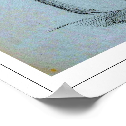 Jean-Léon Gérôme Zedign Art Poster #168 (Hoek)