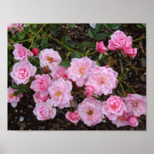 Jeanne LaJoie nam #1 Poster toe