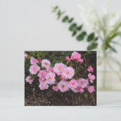 Jeanne LaJoie Roos #1 Briefkaart (Staand voorkant)