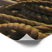 "Jeannie Johnston" Tall ship, figurehead Poster (Hoek)