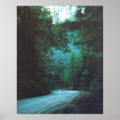 Jedediah Smith Redwood State Park, CA Poster (Voorkant)