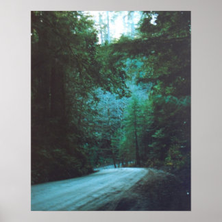 Jedediah Smith Redwood State Park, CA Poster