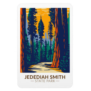 Jedediah Smith Redwood State Park California Magneet