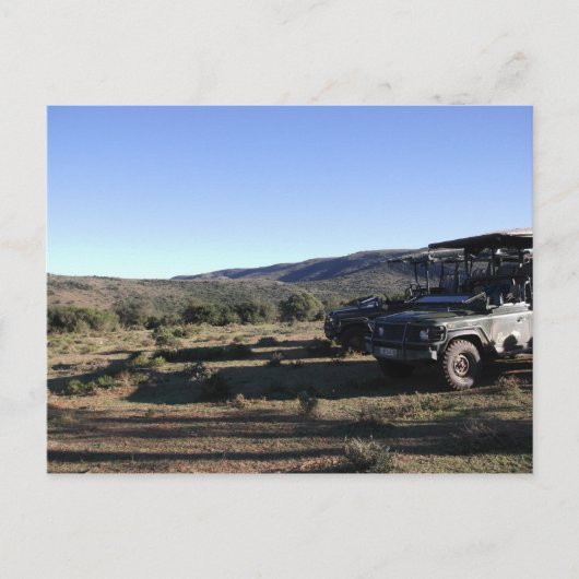 Jeep-landschap Safari Briefkaart (Voorkant)