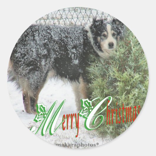 JeepersMC stickers (Voorkant)