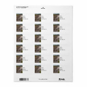 Jeff City Railroad Tracks Adresetiketten Etiket (Full Sheet)