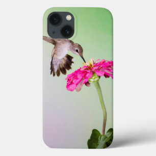 Jeff Davis County, Texas Case-Mate iPhone Case