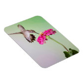 Jeff Davis County, Texas Magneet (Rechterzijde)