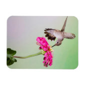 Jeff Davis County, Texas Magneet (Horizontaal)