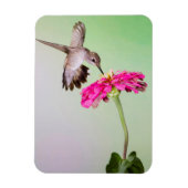 Jeff Davis County, Texas Magneet (Verticaal)