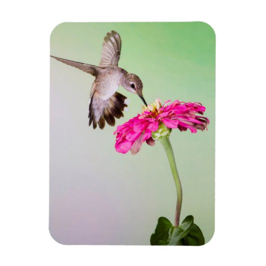 Jeff Davis County, Texas Magneet (Verticaal)