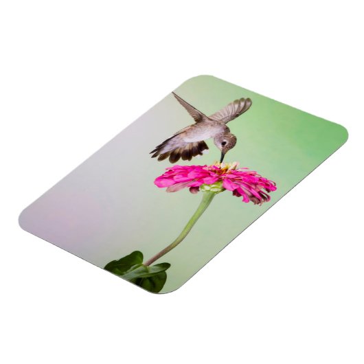 Jeff Davis County, Texas Magneet (Linkerzijde)