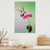 Jeff Davis County, Texas Poster (Keuken)