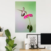 Jeff Davis County, Texas Poster (Thuiskantoor)