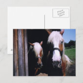 Jeff et Kate Briefkaart (Voorkant / Achterkant)