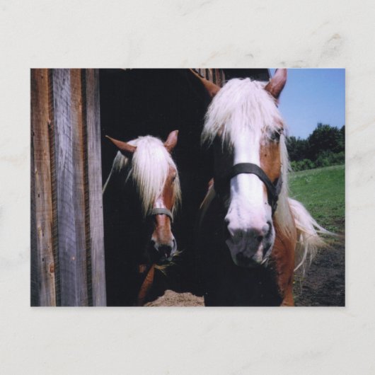 Jeff et Kate Briefkaart (Voorkant)