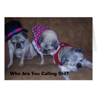 Jeff, Gina, opa, wie ben je...