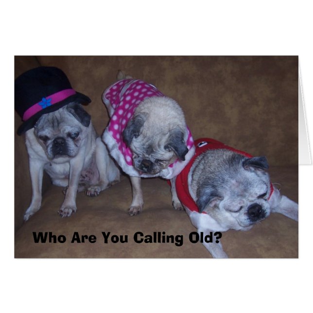 Jeff, Gina, opa, wie ben je... (Voorkant Horizontaal)