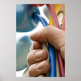 Jeff Koons Sculptuur "Boeket van Tulpen" in Parijs Poster
