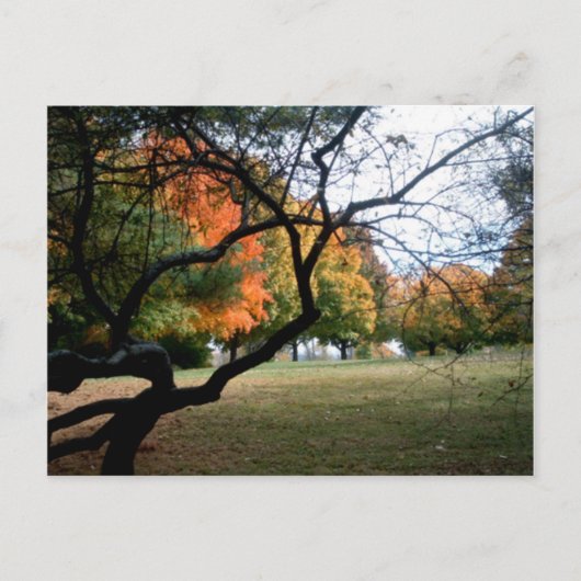 Jefferson Barracks Briefkaart (Voorkant)