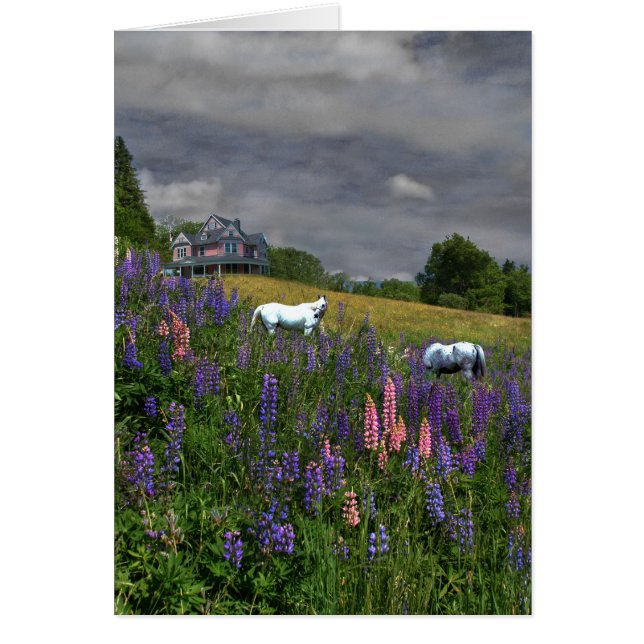 Jefferson Lupine Mindscape (Voorkant)