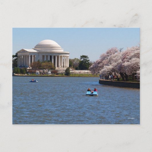 Jefferson Memorial Washington DC Briefkaart (Voorkant)