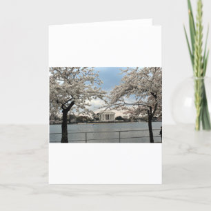 Jefferson Memorial Washington DC Kersenbloesem Kaart