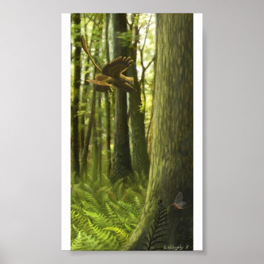 Jehol Juxtaposition Print (Voorkant)