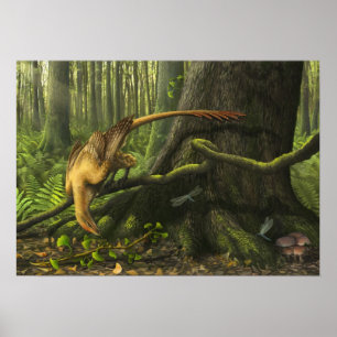 Jeholornis Print