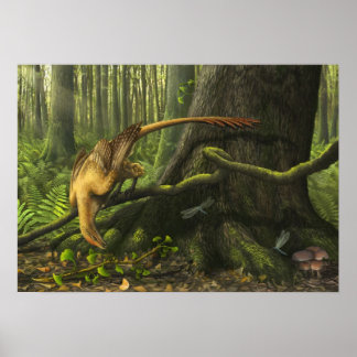 Jeholornis Print