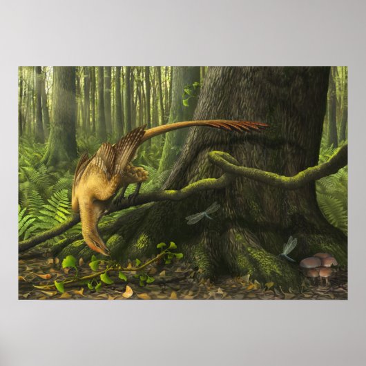 Jeholornis Print (Voorkant)