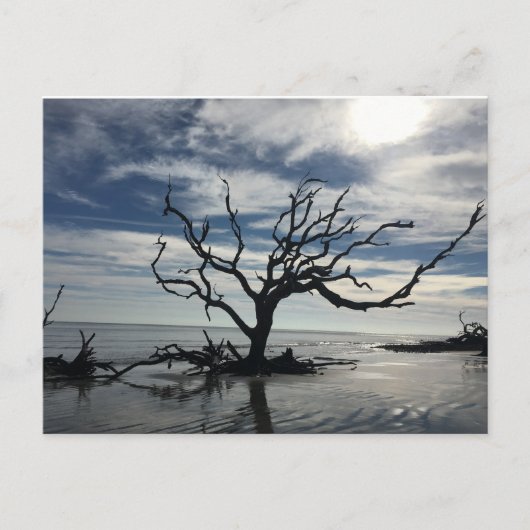 Jekyll Island Georgia Briefkaart (Voorkant)