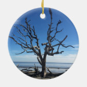 Jekyll Island Georgia Keramisch Ornament (Achterkant)