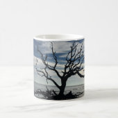 Jekyll Island Georgia Koffiemok (Center)