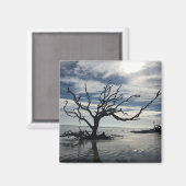 Jekyll Island Georgia Magneet (Voorkant / Achterkant)