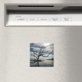 Jekyll Island Georgia Magneet (Insitu (Vaatwasser))