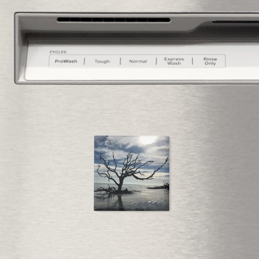 Jekyll Island Georgia Magneet (Insitu (Vaatwasser))