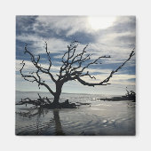 Jekyll Island Georgia Magneet (Voorkant)