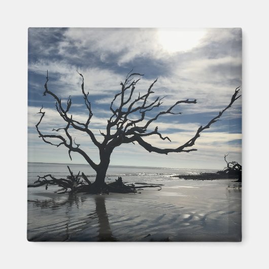 Jekyll Island Georgia Magneet (Voorkant)