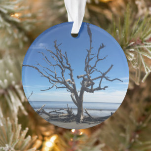 Jekyll Island Georgia Ornament