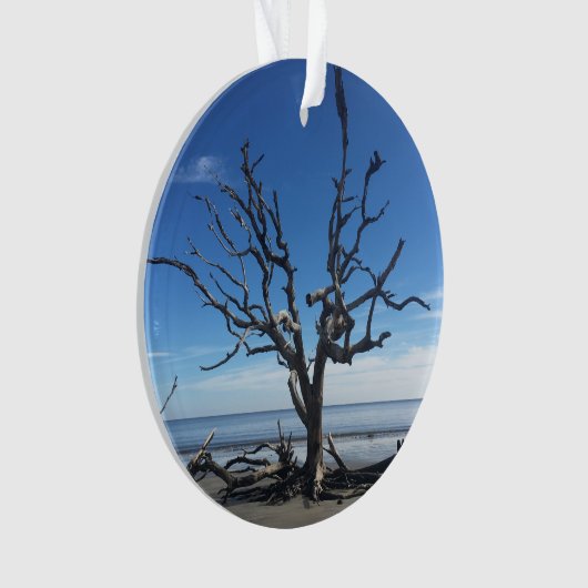 Jekyll Island Georgia Ornament (voorkant)