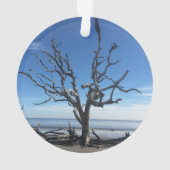 Jekyll Island Georgia Ornament (achterkant)